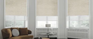Double Roller Blinds in Living Room